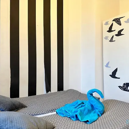 Swan
